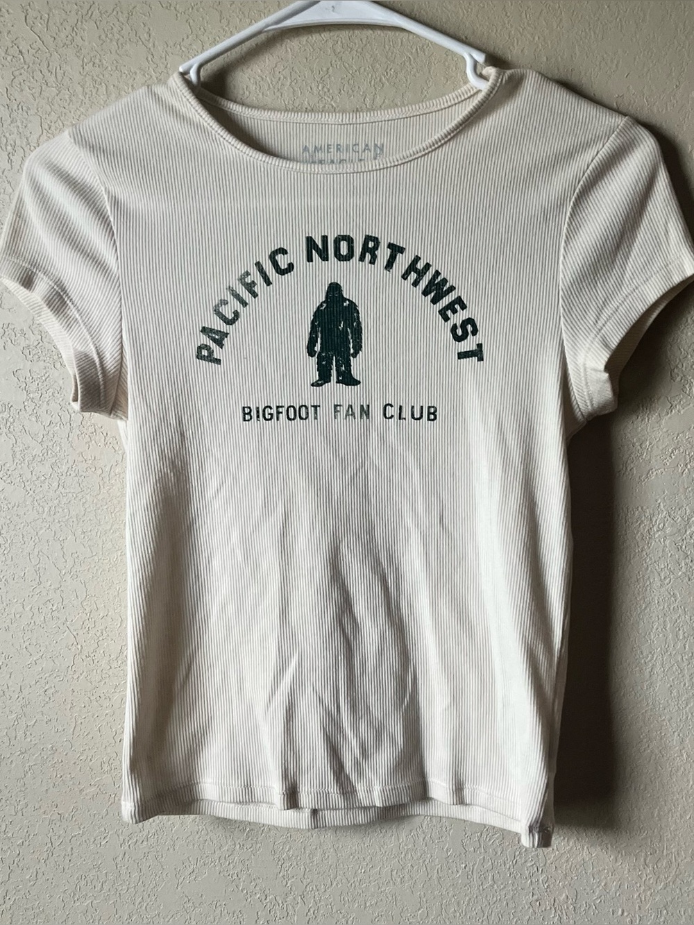 AE Pacific Northwest Ribbed Tee